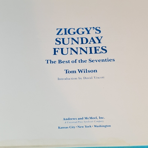 Ziggy's Best of the Seventies Book - Picture 2 of 11